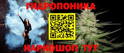 Альфа ПВП Бийск